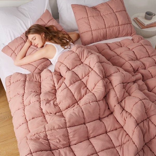 Intelligent Design Dream Puff Down Alternative Comforter Set in Rose, Twin ID10-2307