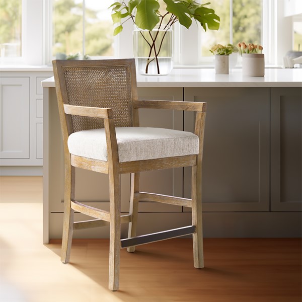 Madison Park Diedra Cane Back Counter Stool in Cream/Reclaimed Natural MP104-1239