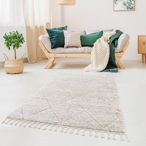 Madison Park Sophia Talas Trellis Area Rug in Cream, 5x7' ST35-0252