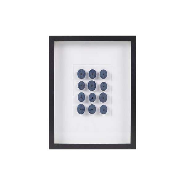 Martha Stewart Indigo Shells Framed Sea Urchin Shadow Box Wall Decor in Blue MT95B-0065