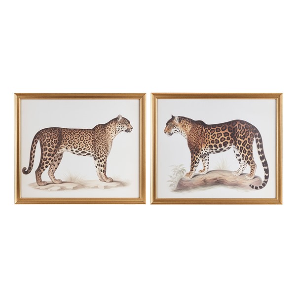 Martha Stewart The Duel Cheetah Framed Graphic Wall Decor 2 Piece set MT95G-0086