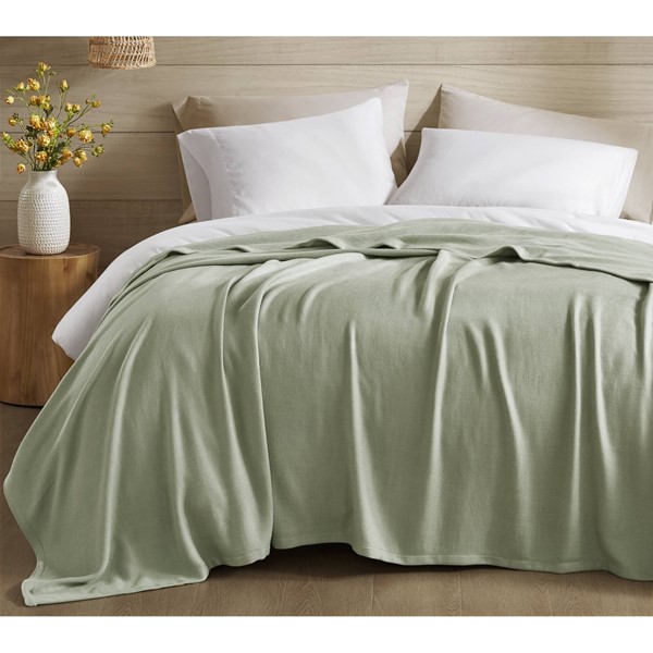 Madison Park Bamboo Cotton Rayon Blanket in Sage Green, Full/Queen AM51-0527